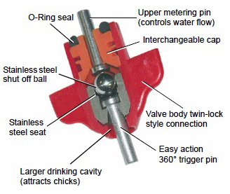 bebedero de tetina para pollo trabajo