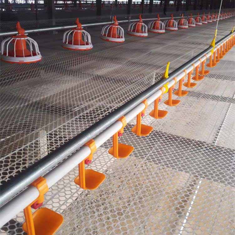 Bebedero con tetinas de agua para pollos: todo lo que necesitas saber