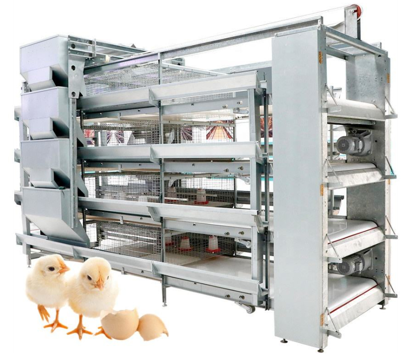 jaula de pollo