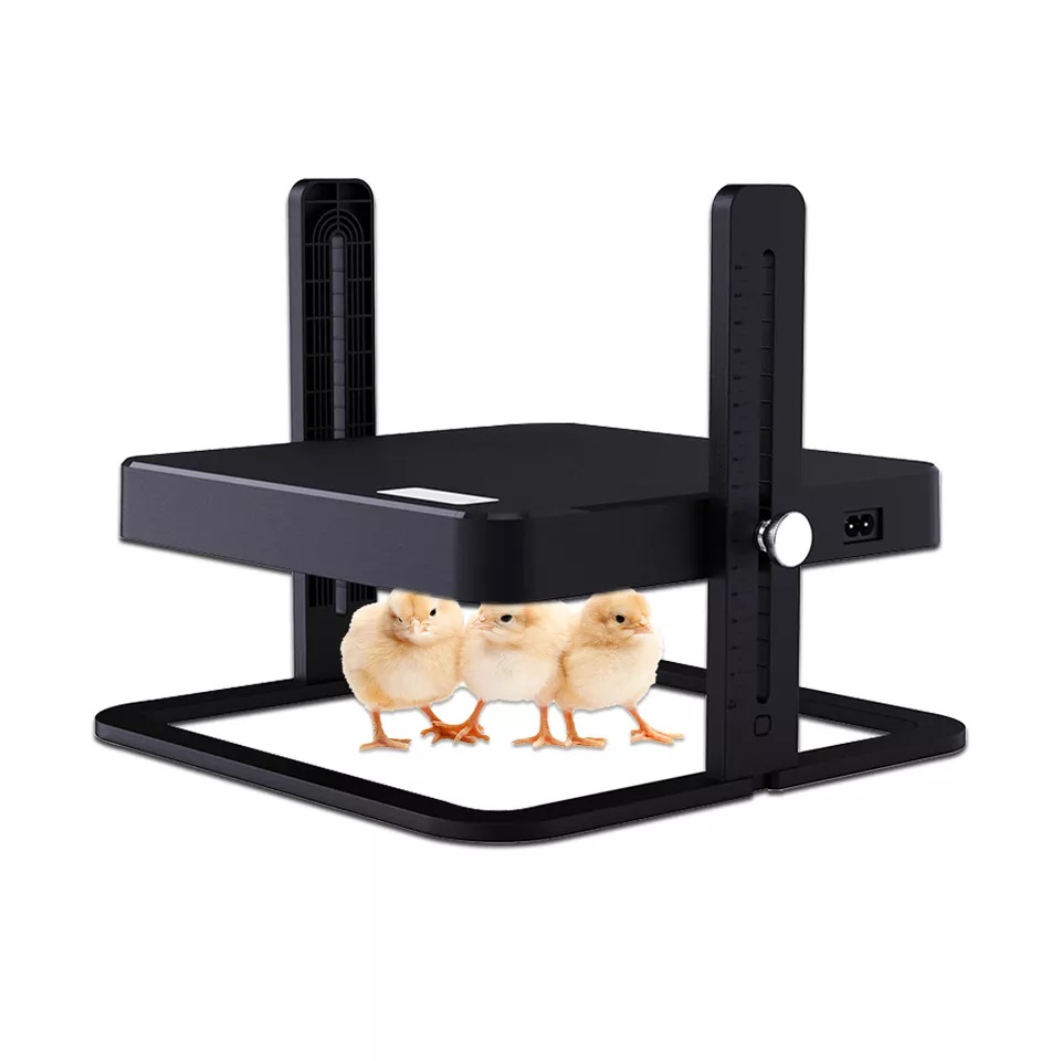Placa calefactora para pollitos, puente levadizo para aves de corral y cubierta de placa criadora con incubadora de huevos de altura ajustable