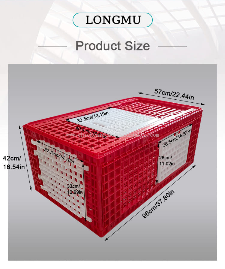 caja de transporte de pavos (4)