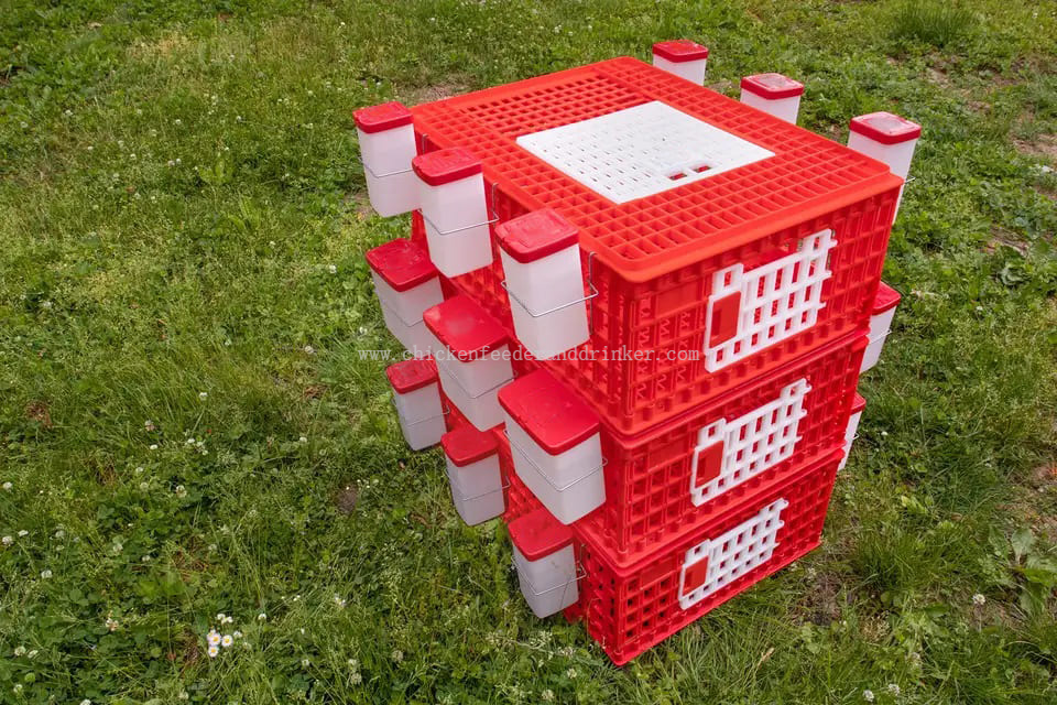 Jaula plegable de LMC-04, jaula de transporte para aves de corral vivas, caja para gansos, jaula para transporte de aves de corral de pavo