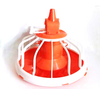 Gran oferta, comedero automático para línea de alimentación, comedero para aves de corral, pollos de engorde, sistema de granja para beber y alimentar, LML-05