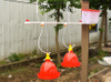 Bebedero para pollos Plasson con bote de agua blanca, bebedero de agua de campana automático para pollos de engorde, equipo de avicultura LM-68