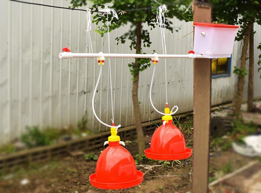 Bebedero para pollos Plasson con bote de agua blanca, bebedero de agua de campana automático para pollos de engorde, equipo de avicultura LM-68