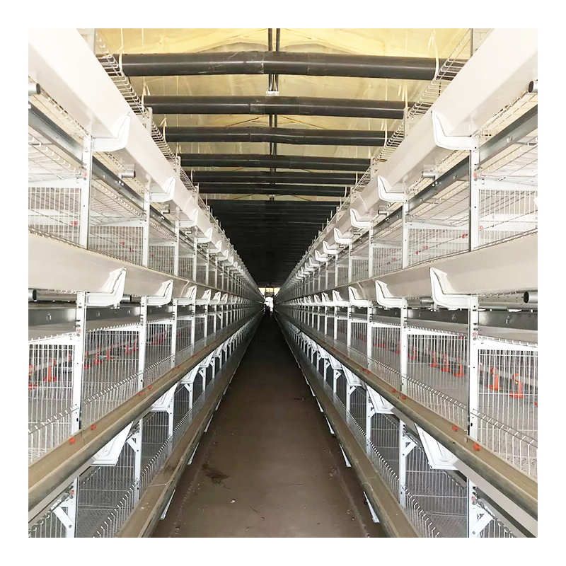 Jaula para ponedoras de pollos tipo H para cría automática de equipos avícolas Jaula para pollos