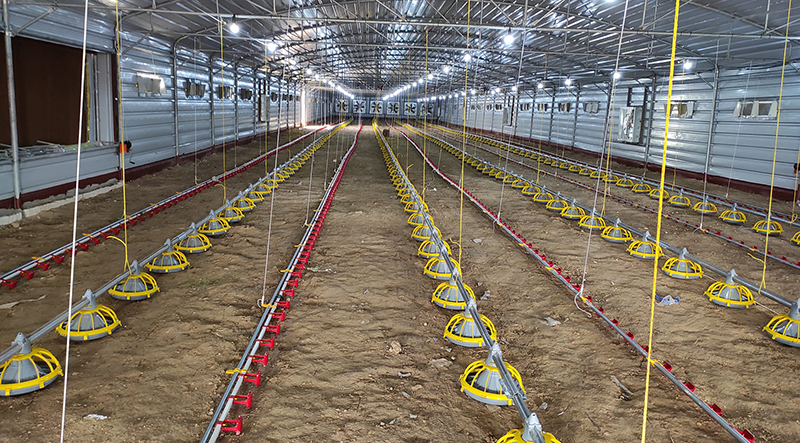 l&iacute;nea de alimentaci&oacute;n