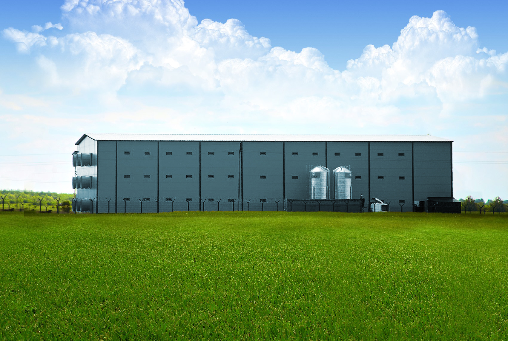 ¿Cuánto sabes sobre los equipos utilizados en las granjas de pollos?