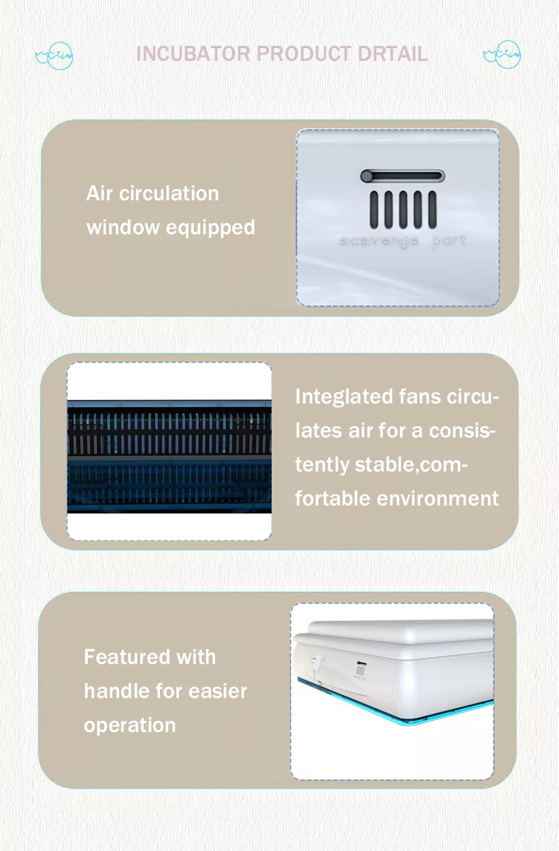 incubadora de huevos (2)