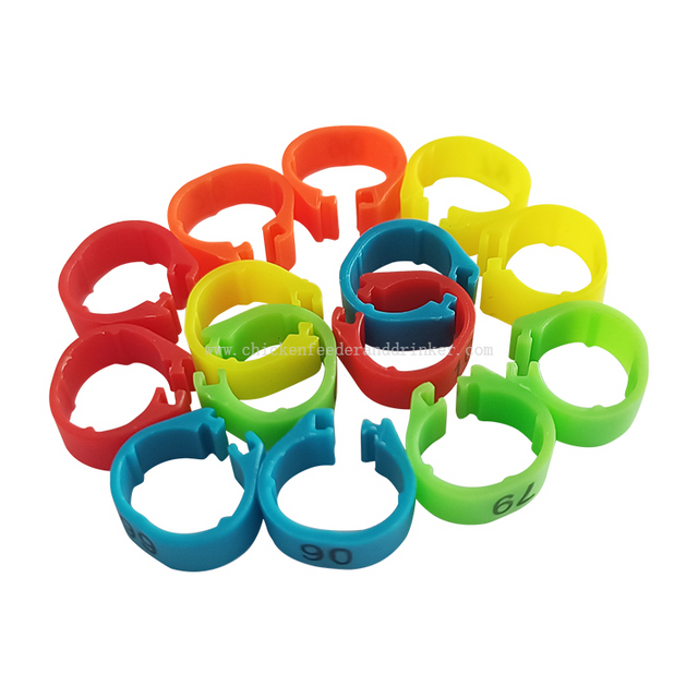 YYA/LMA-09 Anillo de plástico colorido numerado con Clip para tobillo de pollito, Paloma, número de pie de carrera, banda para pierna de Paloma