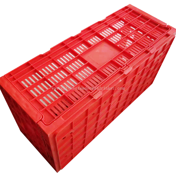 Productos de granja de pollos, bandeja para huevos, caja de transporte de huevos plegable, caja para aves de corral, LMC-05
