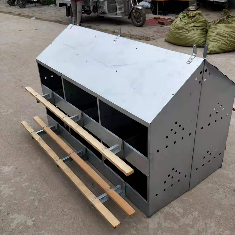 Nido de pollo de hoja de acero con 24 agujeros, gallinero ponedor, caja nido para ponedora de huevos, granja avícola, gallinero duradero, LMA-19
