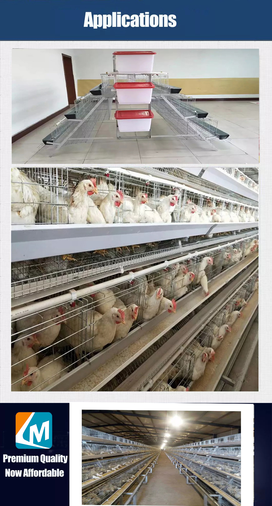 Jaula para gallinas ponedoras tipo A