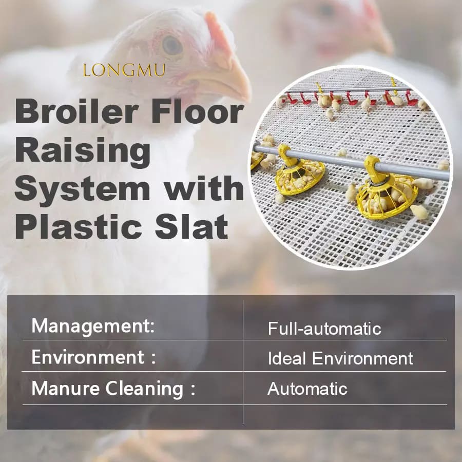 Accesorios para bebederos de pollo, sistema de línea de flotación para aves de corral, granja de aves 