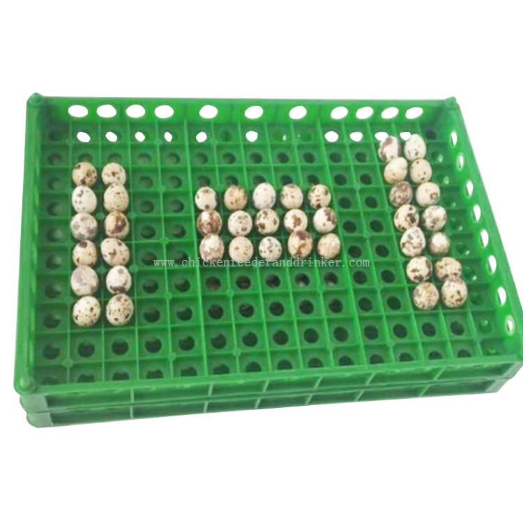 Bandeja de huevos Incubadora de plástico/bandeja de incubadora de huevos de plástico para pollo, ganso, pato/máquina de fabricación de bandejas de huevos LMQ-3