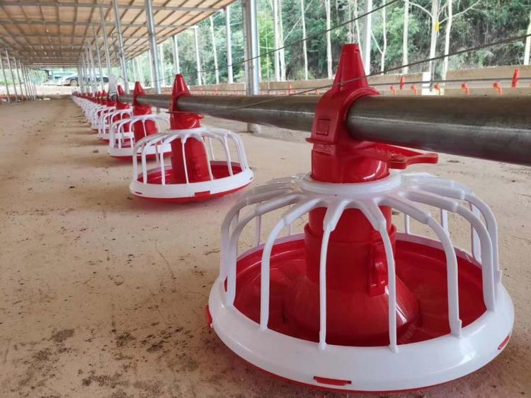 línea de alimentación