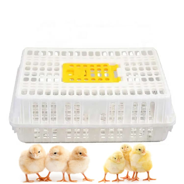 Jaula de transporte de pollos para granjas de pollos, equipos avícolas para pollos, gallinas de engorde 