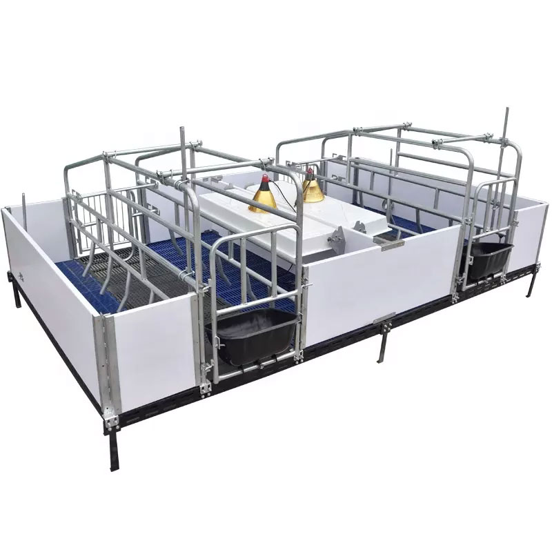 Jaulas de parto para cerdas europeas, cama para corral para cerdas, jaula para gestación de cerdos, equipo de granja porcina 