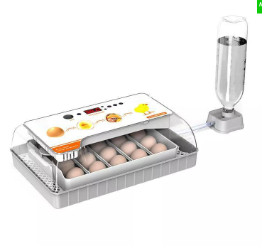 incubadora de huevos