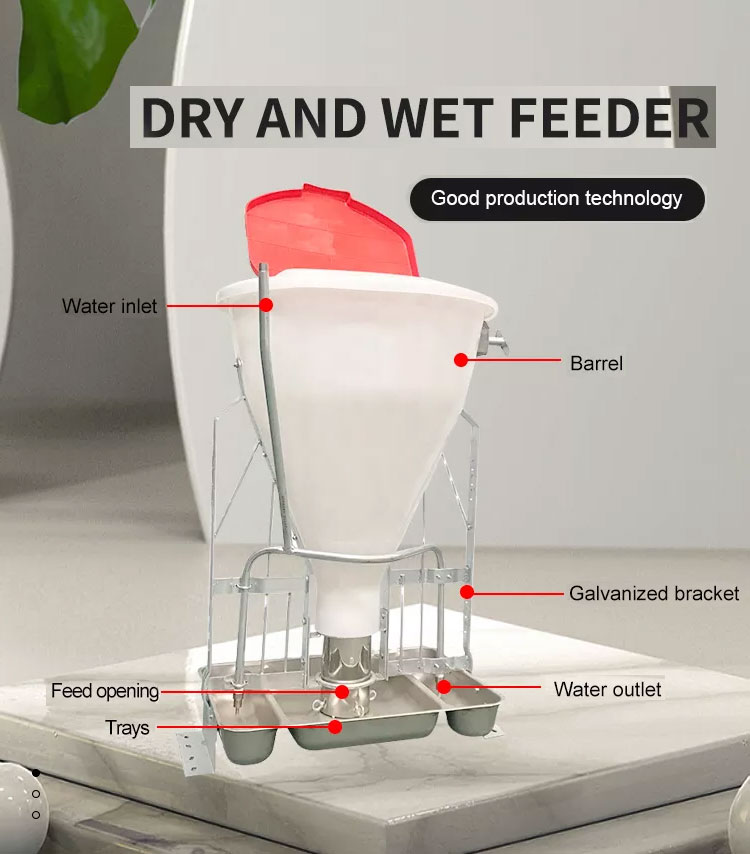 Comedero para cerdos seco y húmedo