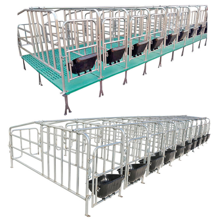 Caja de parto para cerdas