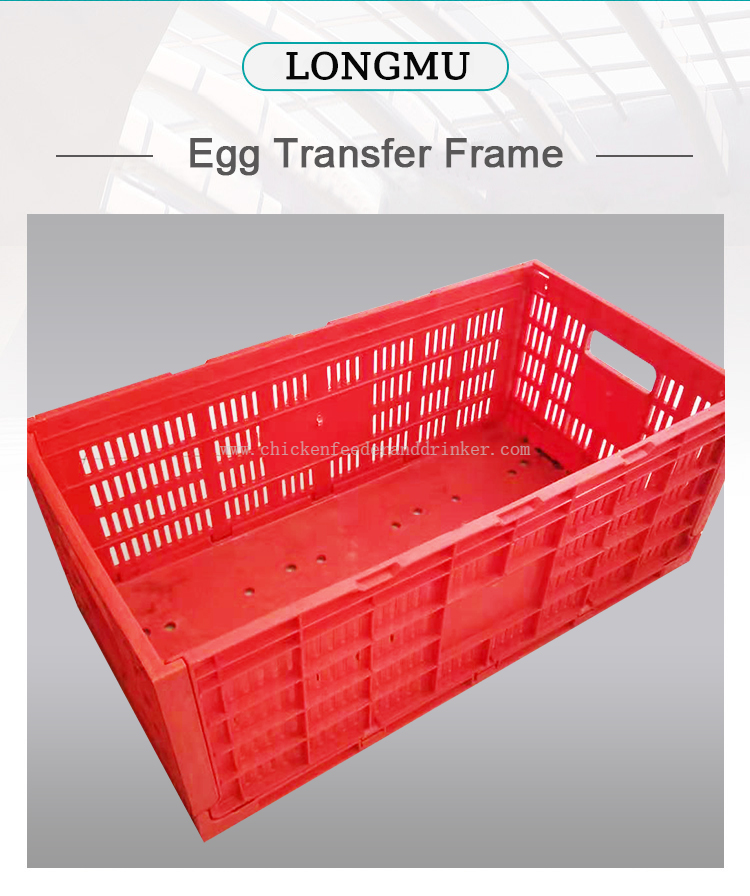 caja de transporte de huevos (1)