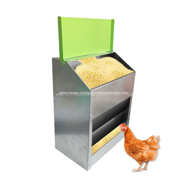 comedero de pedal para pollos (1)