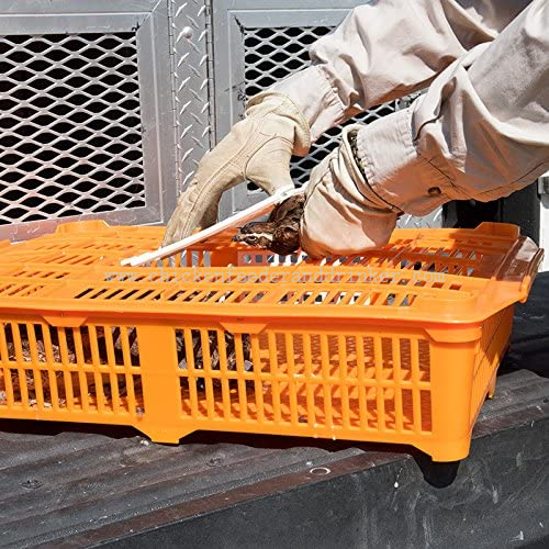jaula de transporte para codornices (12)