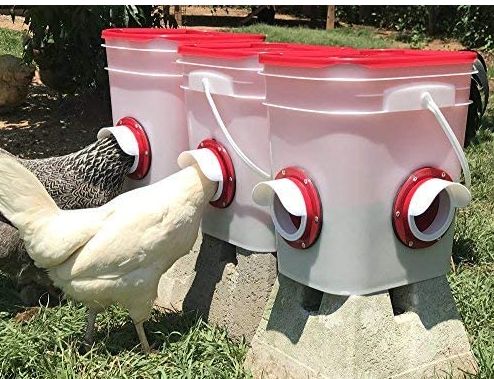 kit comedero para pollos 6