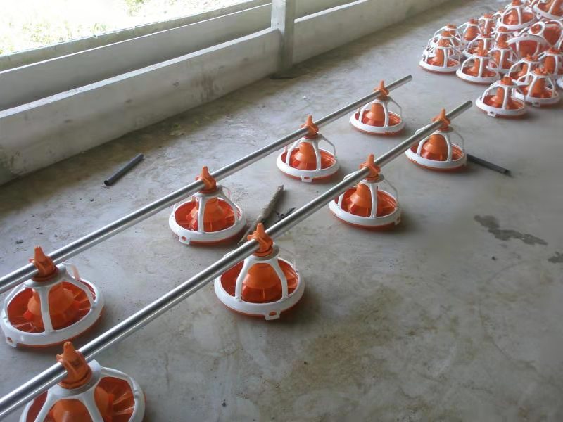 plato de alimentación