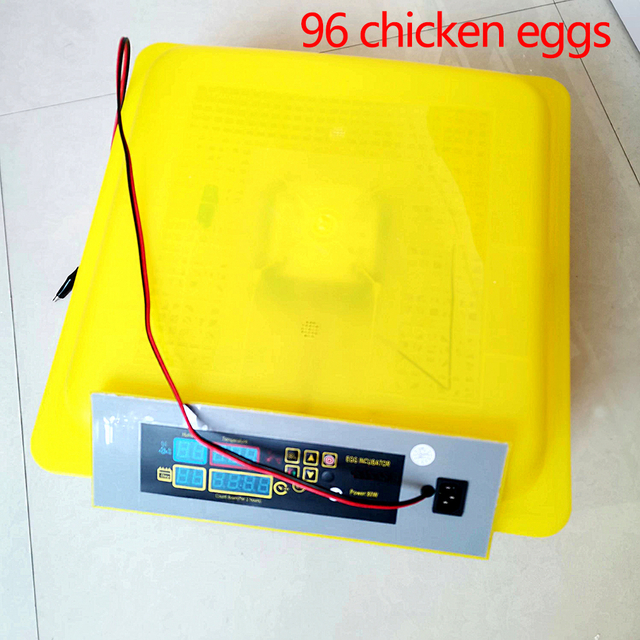 Incubadoras de huevos de gallina completamente automáticas, minimáquina de huevos para incubar para 96 ​​incubadoras de huevos domésticas