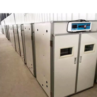 Incubadora de huevos de aves de corral, máquina automática de incubación de pollos, 528 huevos grandes 1056