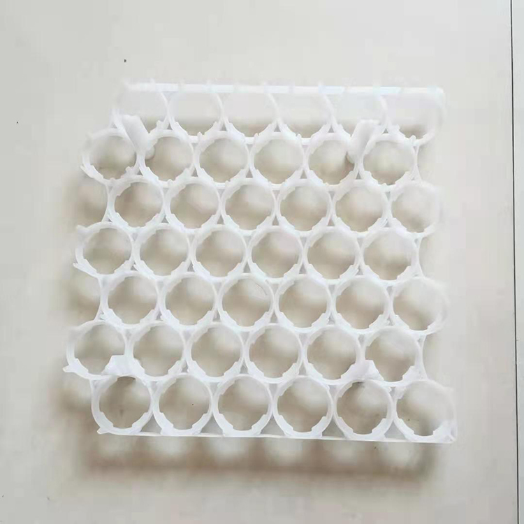 bandeja para huevos pp (1)