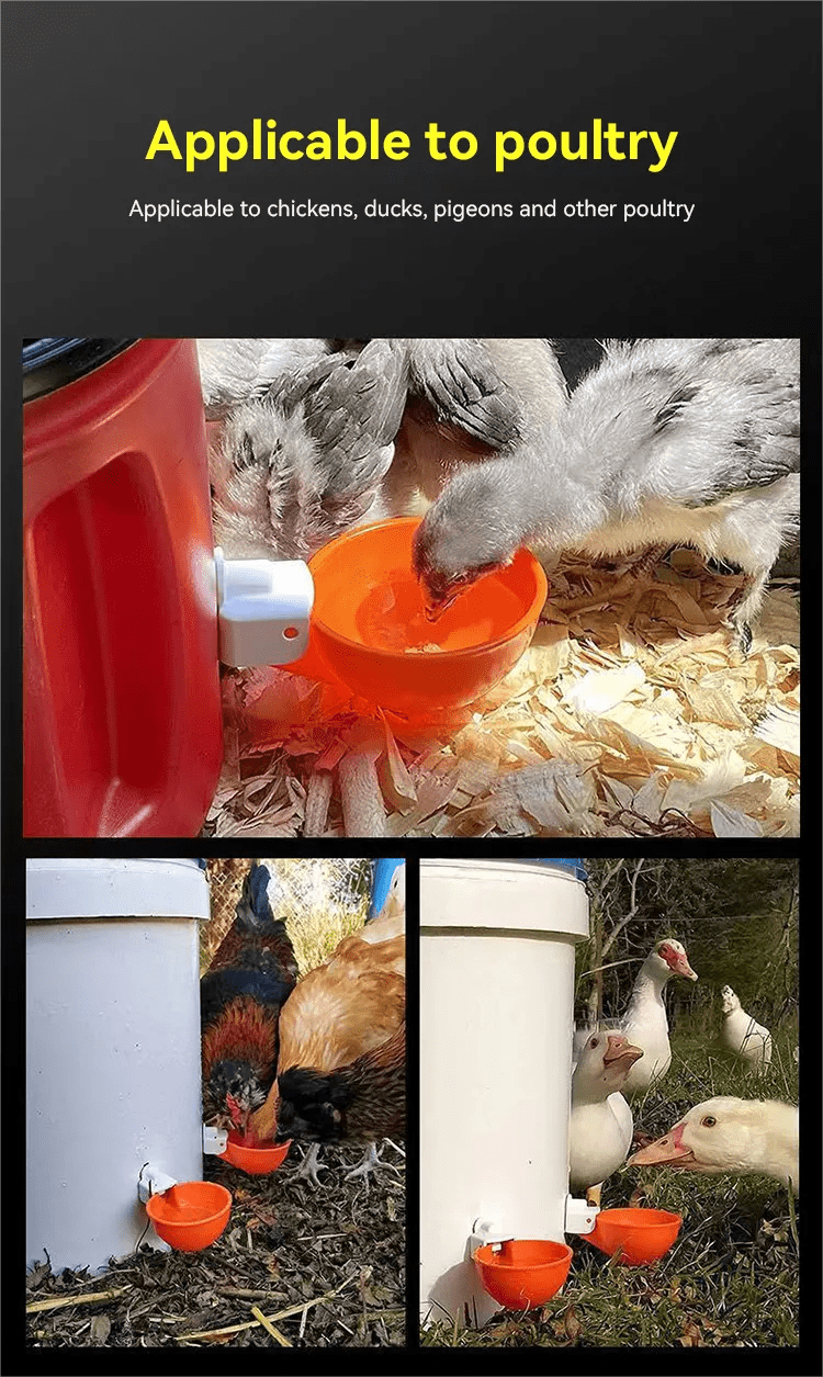 vaso bebedor (4)
