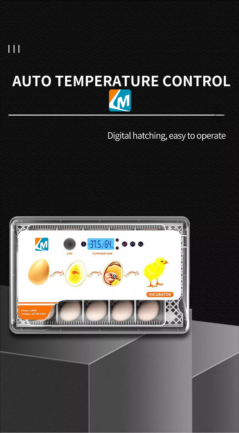 incubadora de huevos (5)