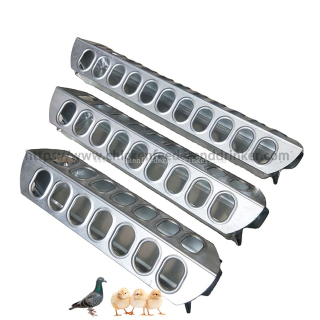 Comedero automático para pájaros de acero inoxidable, comedero para palomas/codornices/pollitos