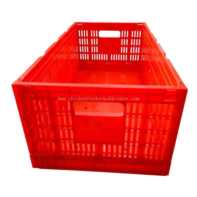 Productos de granja de pollos, bandeja para huevos, caja de transporte de huevos plegable, caja para aves de corral, LMC-05
