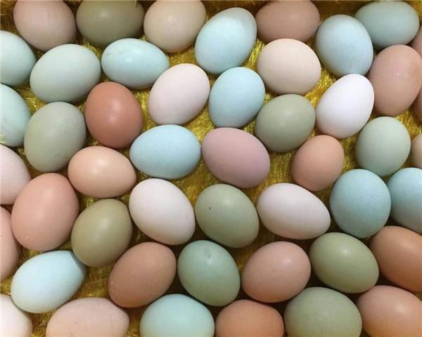 ¿De qué depende el color de la cáscara de un huevo?