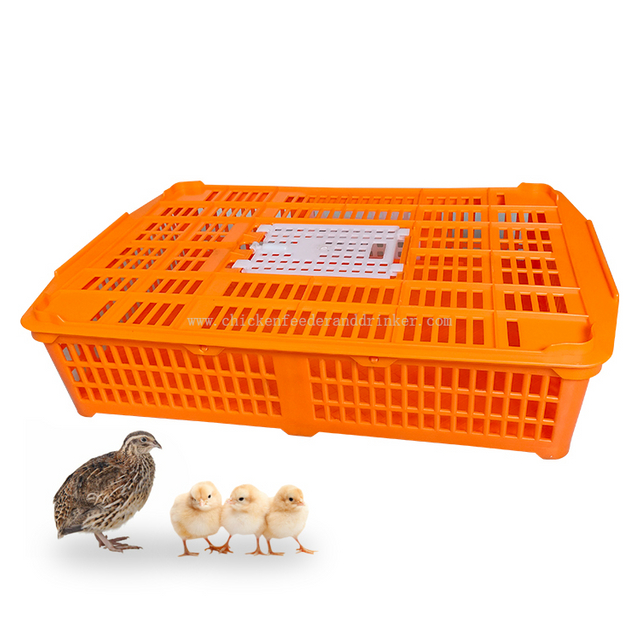 Jaula plegable de LMC-03, jaula de transporte para aves de corral vivas, caja para gansos, caja de transporte para pollitos de codorniz transportada