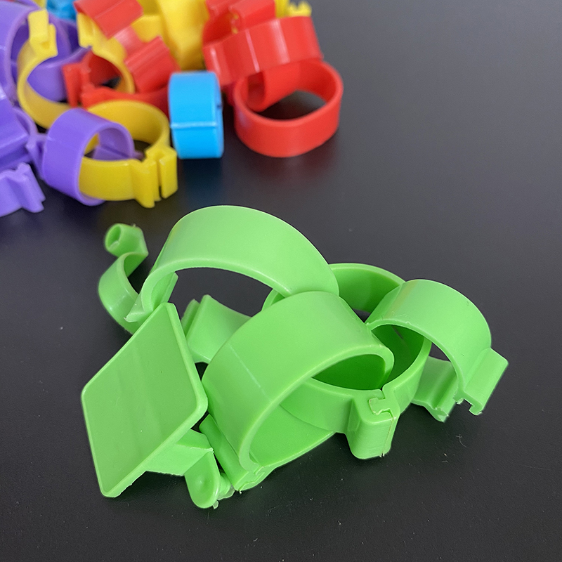 Anillos ajustables para patas de pollo, anillos de tobillo de pollo con clip multicolor, anillos para patas de pollo para aves de corral, patos, pollitos, palomas de Guinea, ganso, aves de juego LMA-09