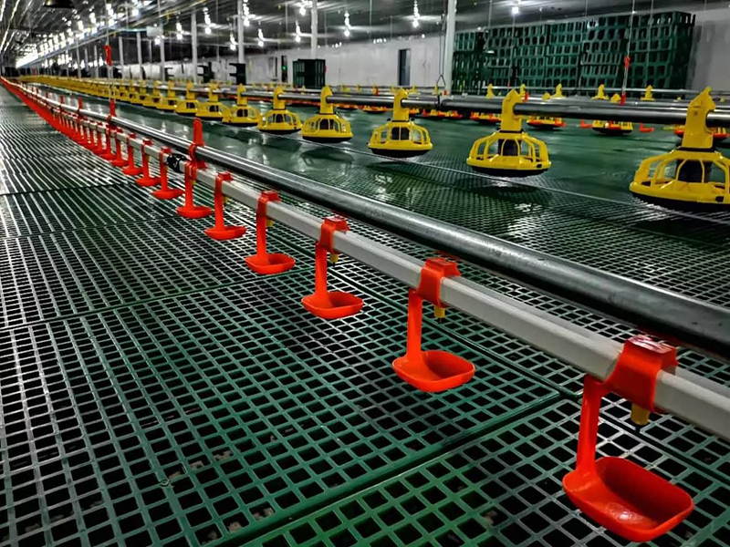 bebedero de tetina para pollo