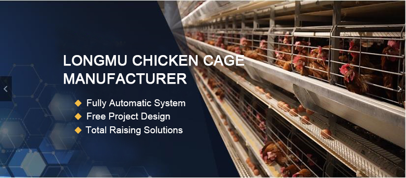 ¿Cuál es el equipo de soporte para las jaulas de gallinas ponedoras?