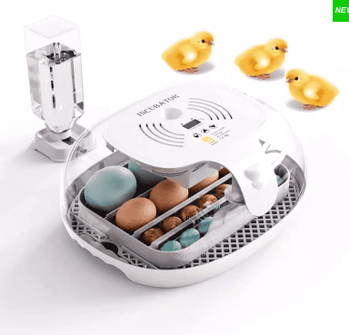 incubadora de huevos