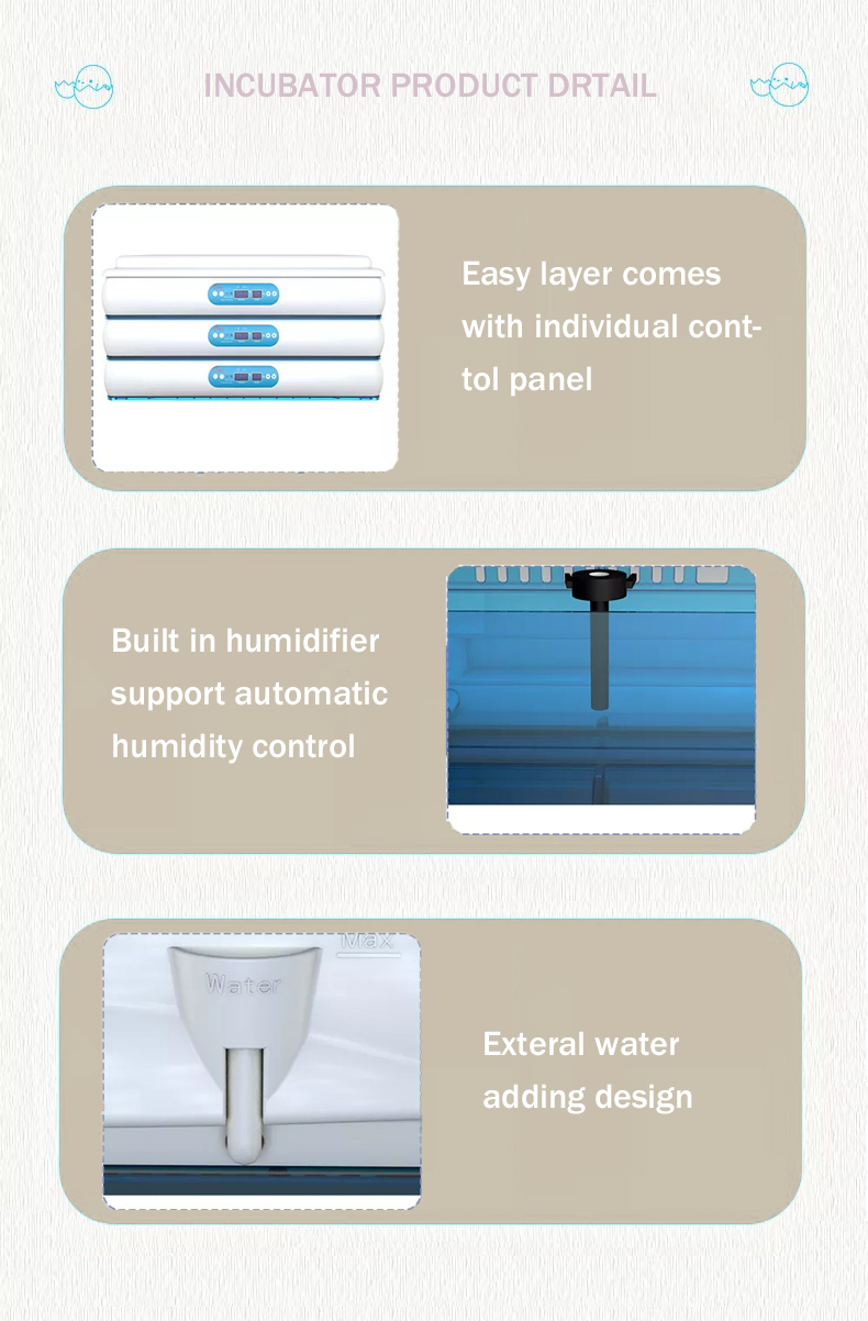 incubadora de huevos6
