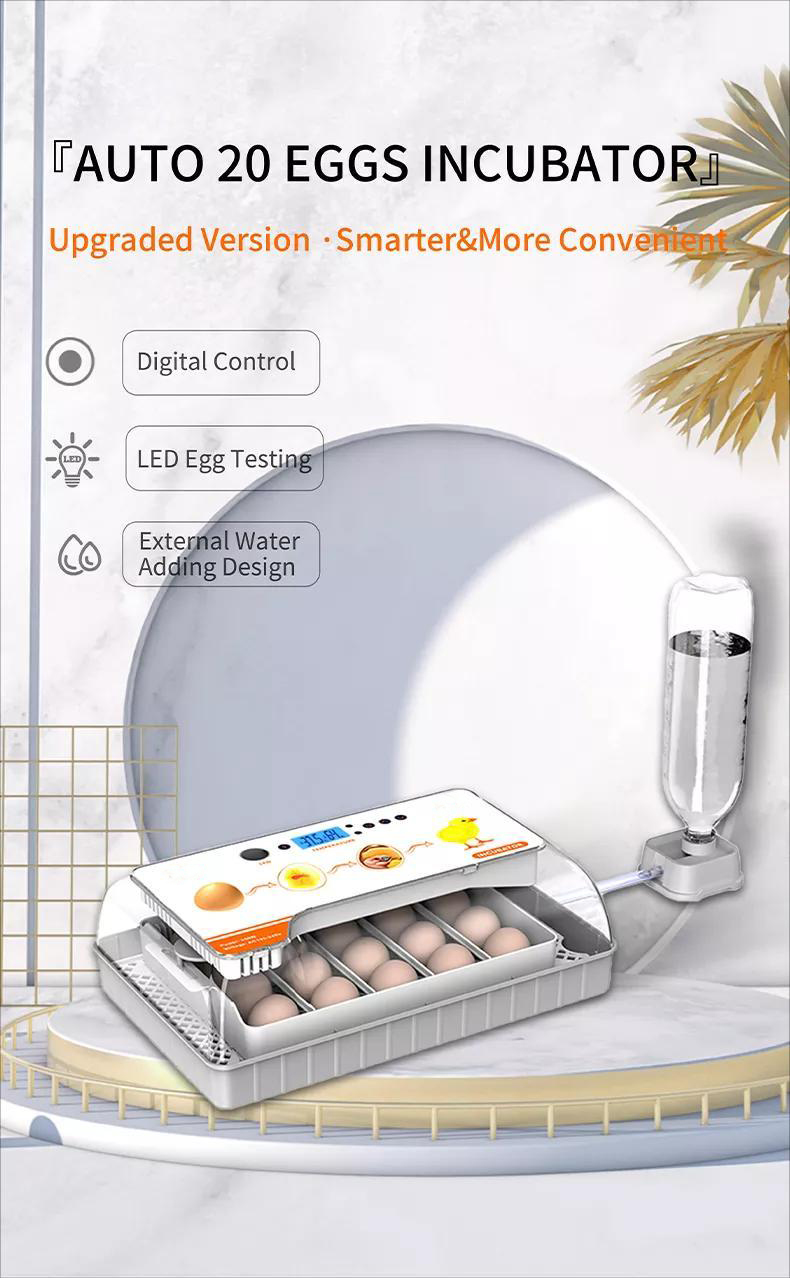 incubadora de huevos (9)