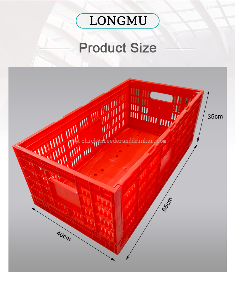 caja de transporte de huevos (2)