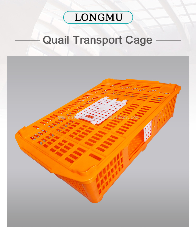 jaula de transporte para codornices (2)