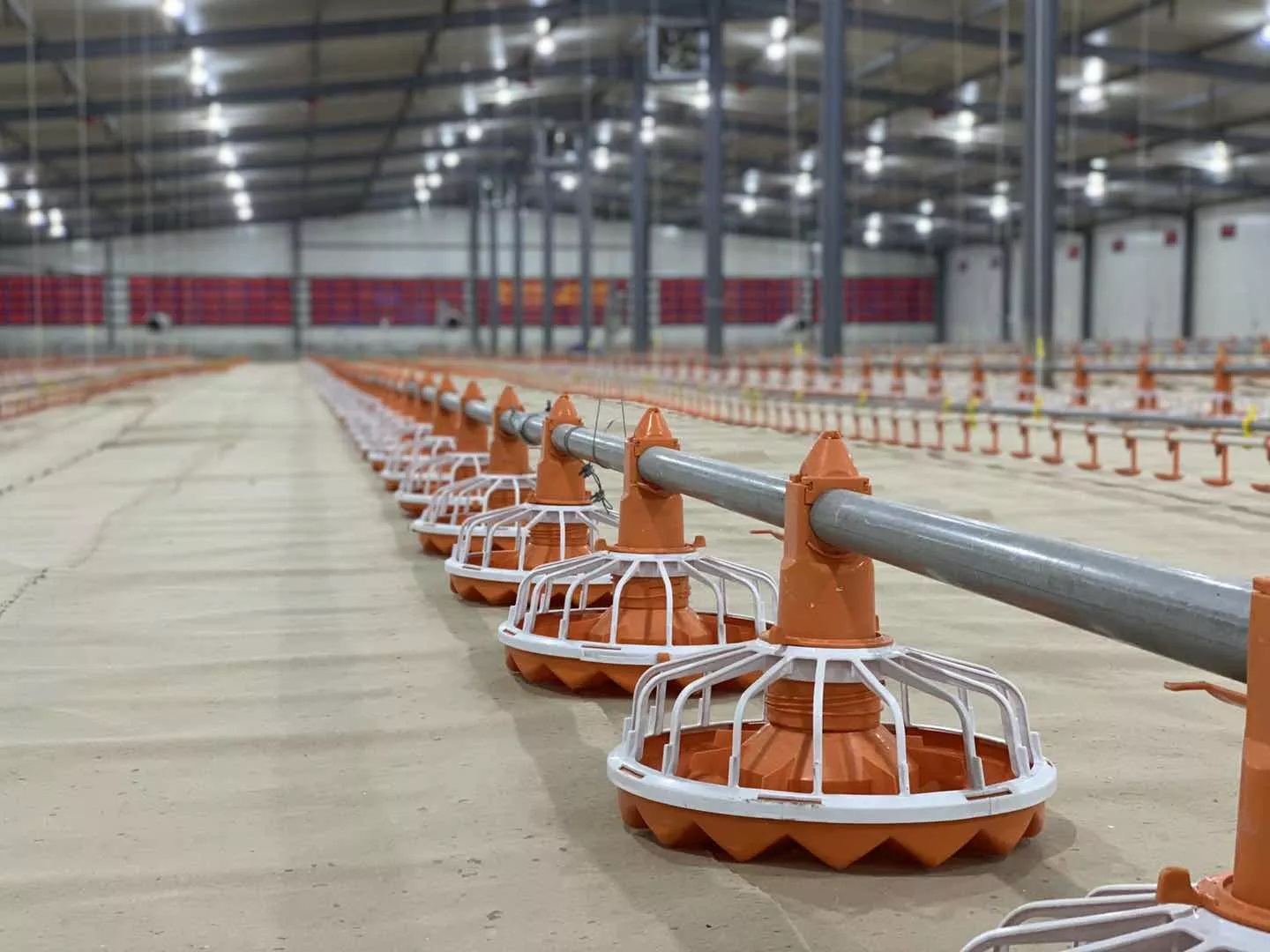 linea de alimentación