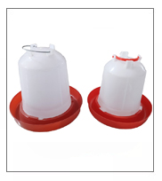 productos relacionados2