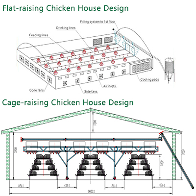 diseño de gallinero